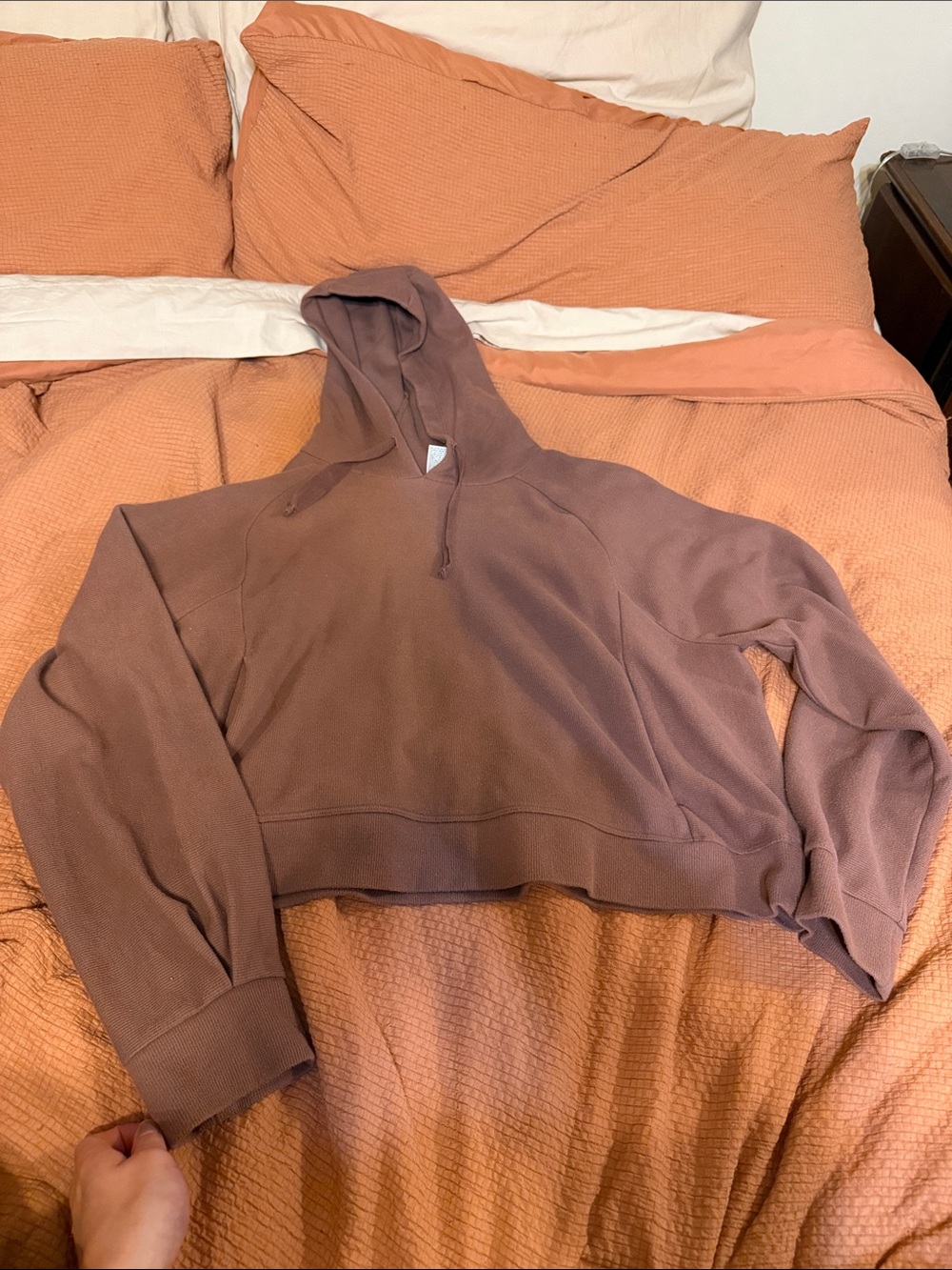 All in Motion Cropped Hoodie